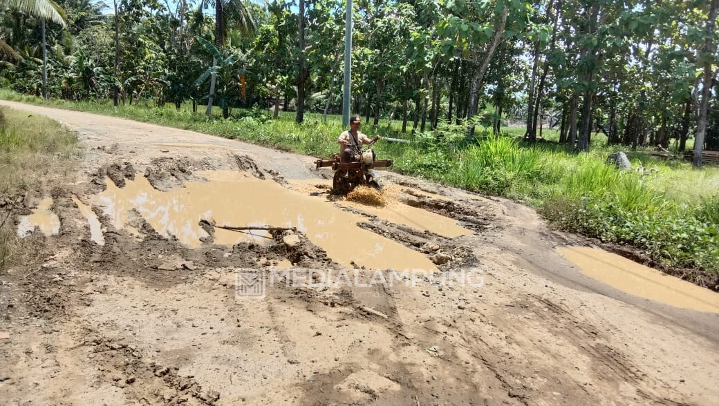 Tak Tersentuh Selama Empat Tahun, Jalan Rusak di Bumi Ratu Bak Kubangan Kerbau