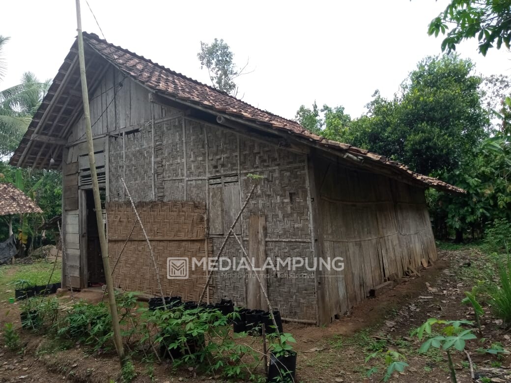 Hidup Sendiri di Rumah Reyot, Warga Talang Baru Galang Dana untuk Nurbaiti