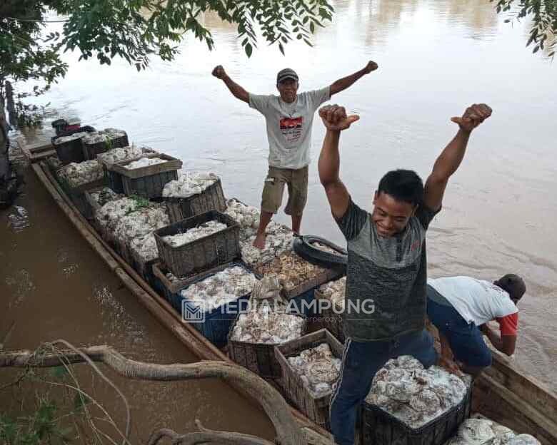 Jalan Rusak Parah, Warga Karang Agung Manfaatkan Sungai untuk Jalur Transportasi