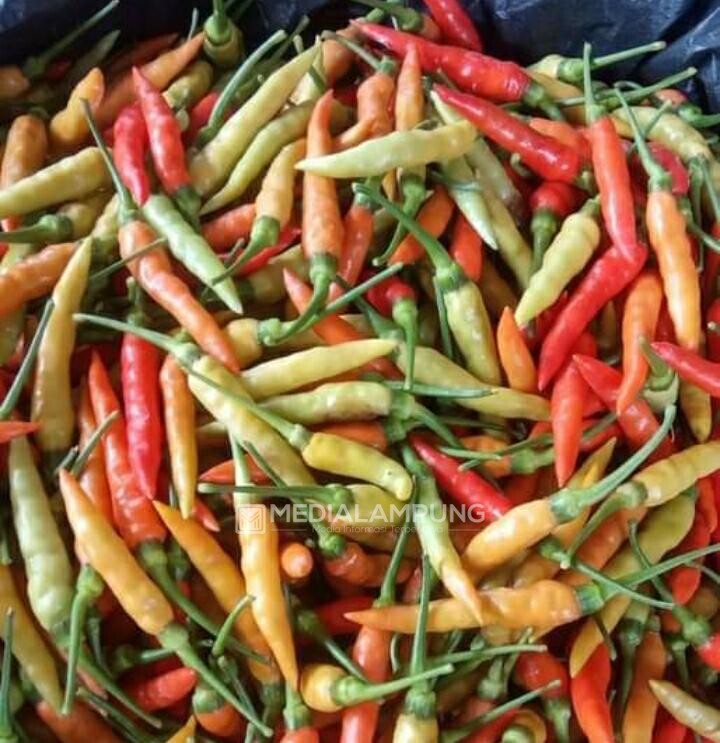 Warga Bandarlampung Keluhkan Kenaikan Harga Cabai