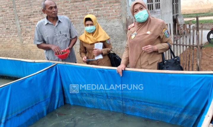 Dua Pokdakan di Pringsewu Kantongi Sertifikat CPPIB dari KKP RI