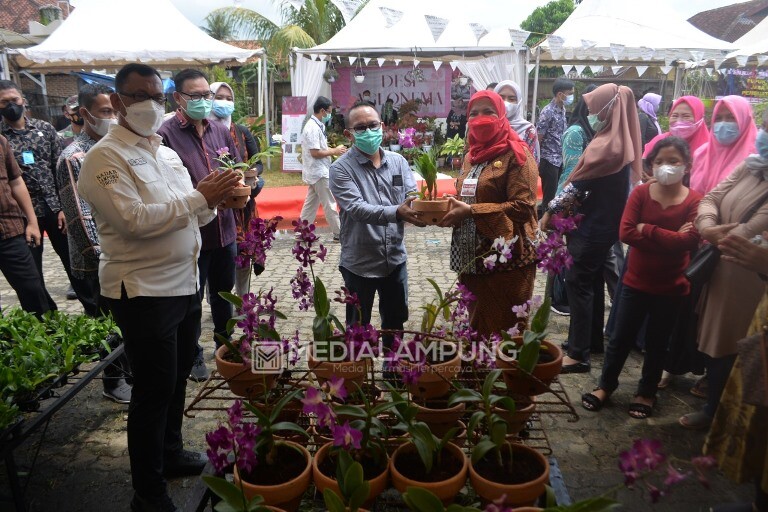 Antusias, Bunda Eva Buka Bazar Tanaman Hias Radar Lampung