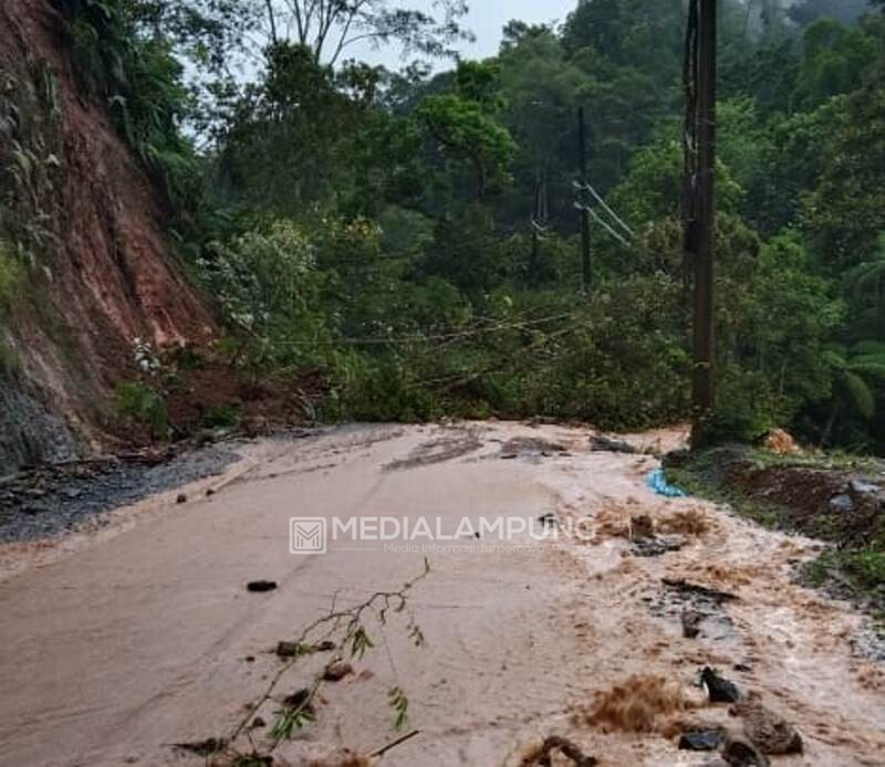 Tertimbun Longsor, Jalur Liwa-Krui Lumpuh Total