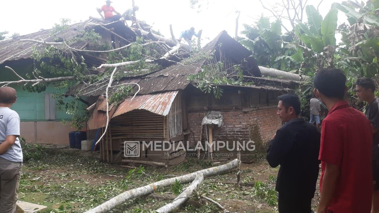 Akibat Angin Kencang, Pohon Tumbang Menimpa Satu Rumah Warga Teratas