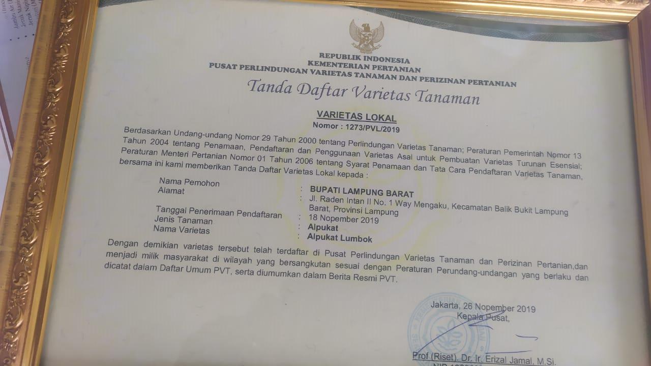 Asli Lampung Barat, Enam Varietas Lokal Ini Resmi Bersertifikat Kementan