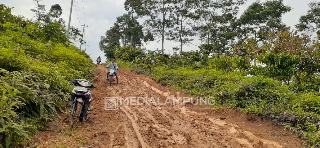 Masyarakat Pekon Ringin Jaya Harapkan Pembangunan Ruas Jalan Kabupaten