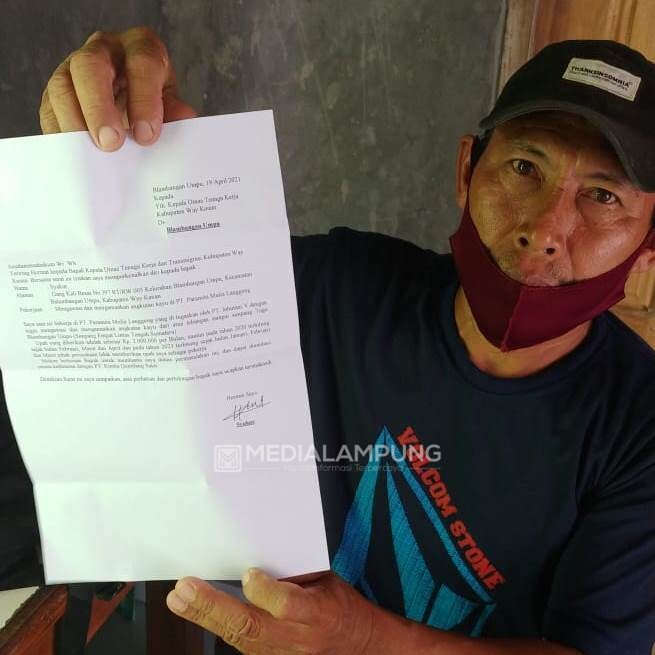 6 Bulan Gaji Tak Dibayar, Karyawan PT. PML Mengadu ke Disnakertrans Waykanan