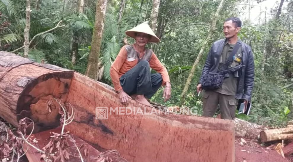 Polisi-Polhut Tinjau Lokasi Indikasi Illegal Logging