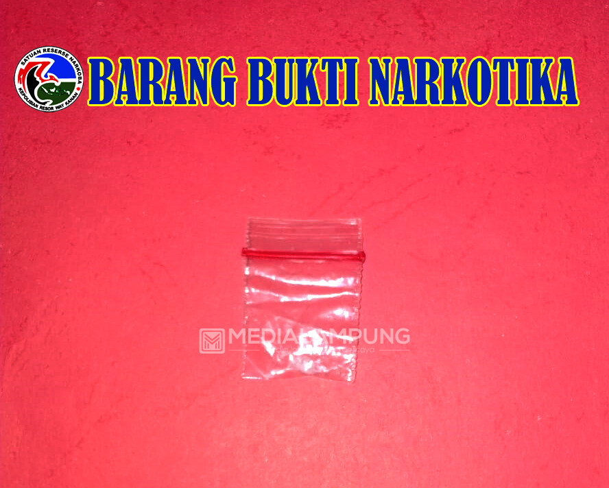 Polres Waykanan  Bekuk Pemilik Sabu di Kampung Way Tuba 