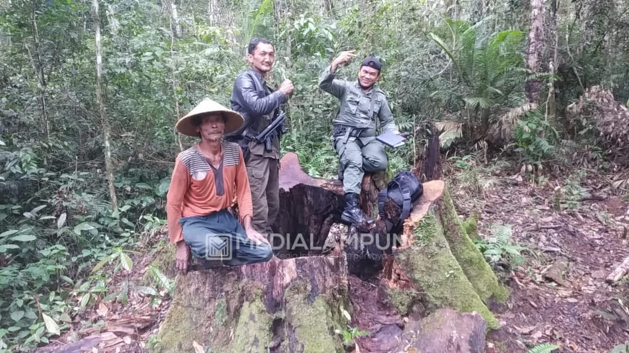 KPH 2 Liwa Pastikan Indikasi Illegal Logging di Luar HL