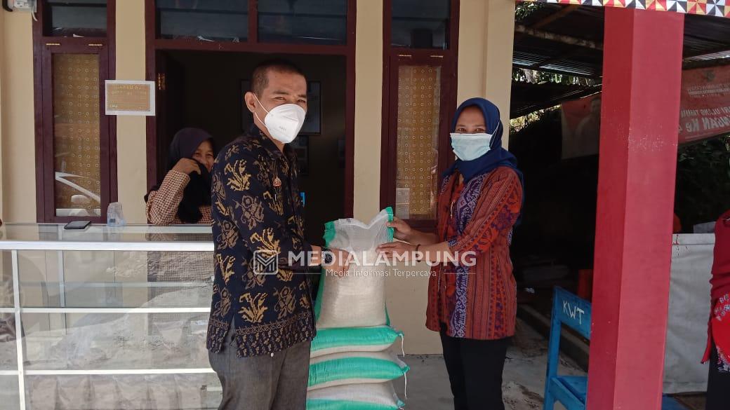 Bantu Kegiatan Usaha KWT Ditengah Pandemi Covid-19, DKP Salurkan 3 Ton Beras 