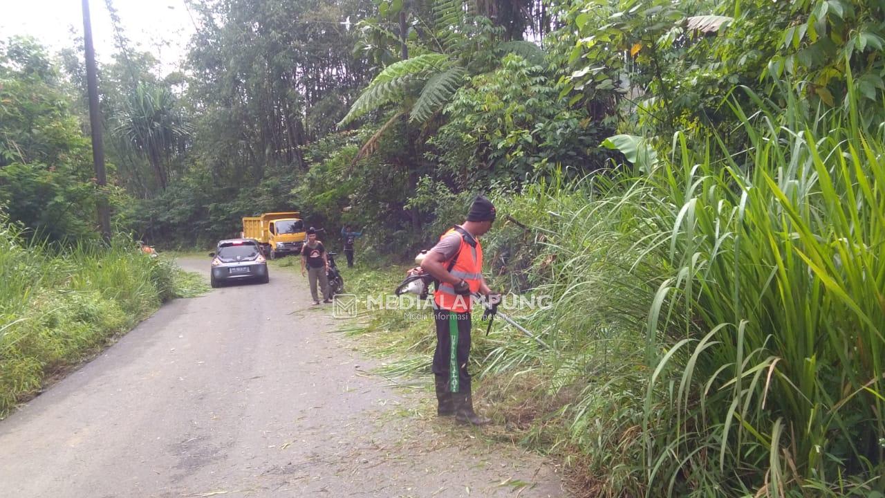 Dinas PUPR Provinsi Turunkan Petugas Bersihkan Rumput Liar di Jalur Liwa-Ranau