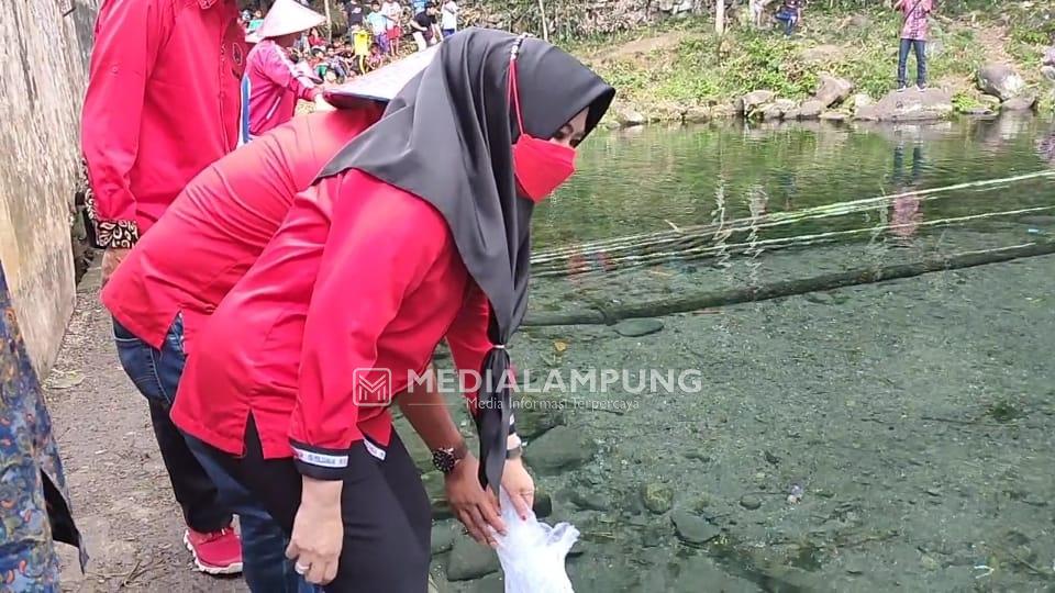 DPC PDIP Tanggamus Tebar Ratusan Benih Ikan Nila 