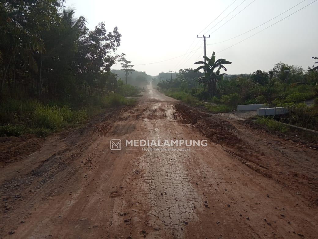 Warga Keluhkan Jalan Provinsi di Kampung Gisting Jaya yang Rusak Berat