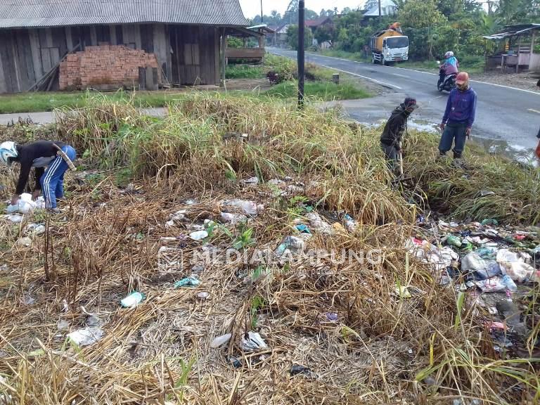 Turunkan 40 Pesonel dan 8 Armada Truk, DLH Lambar Sisir Sampah di TPS Liar 