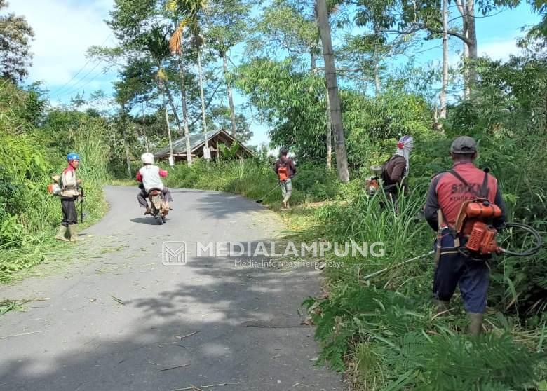 Camat Kebuntebu Gerakkan Warga Tebas Rumput di Ruas Jalan Provinsi 