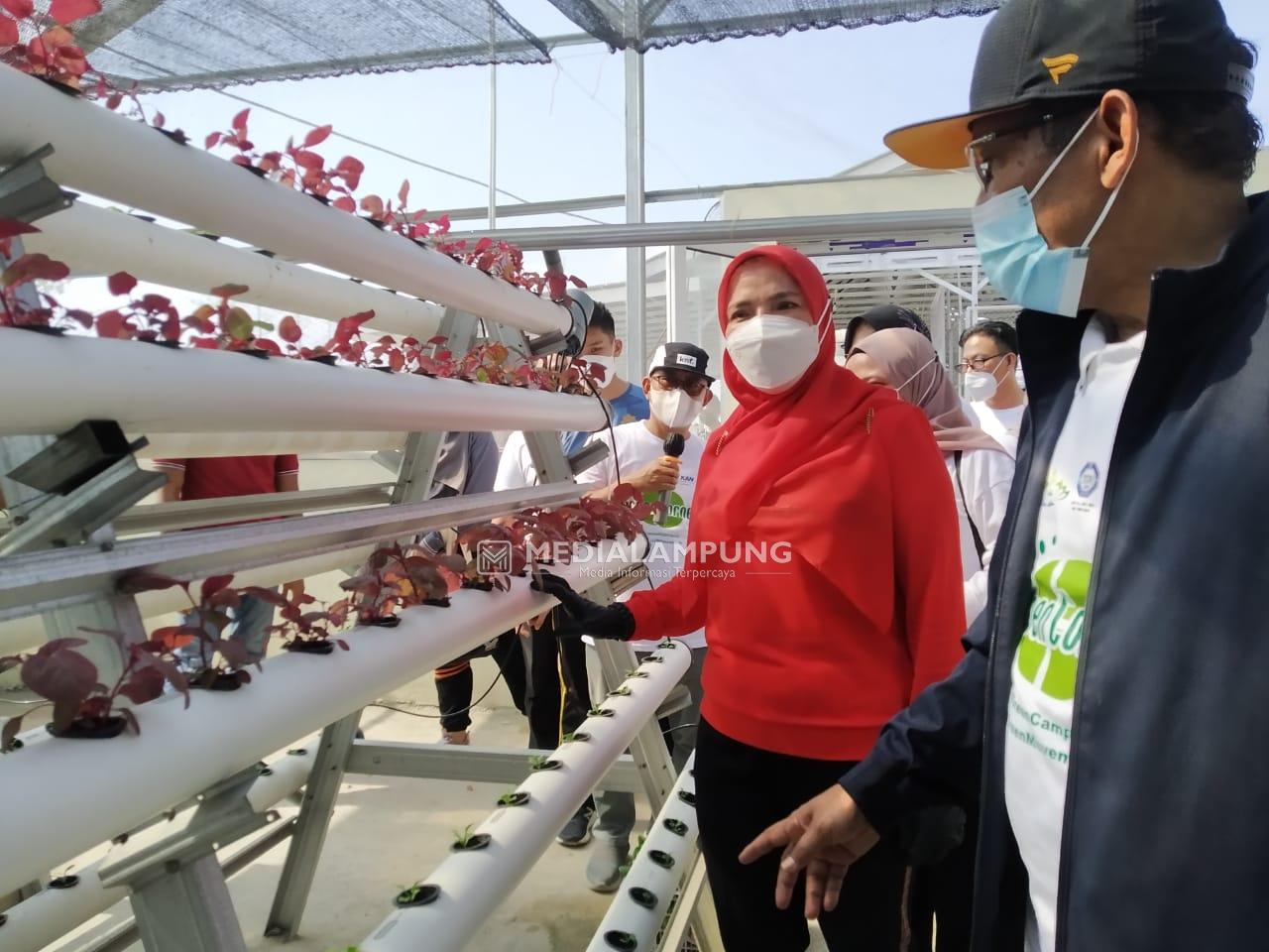 Bunda Eva Hadiri Peresmian Green Corner UIN Lampung 