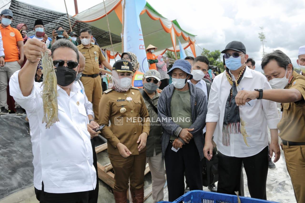 Pengembangan Komoditas Udang Lampung Direspon Menteri Kelautan dan Perikanan