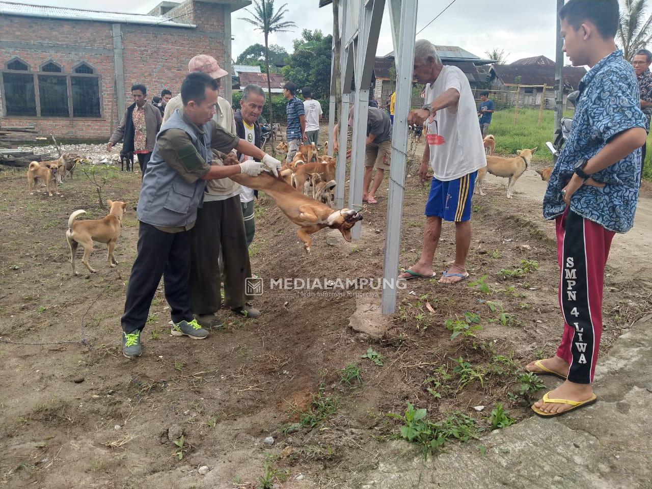 Ratusan HPR di Pekon Sukaraja Divaksin Rabies 