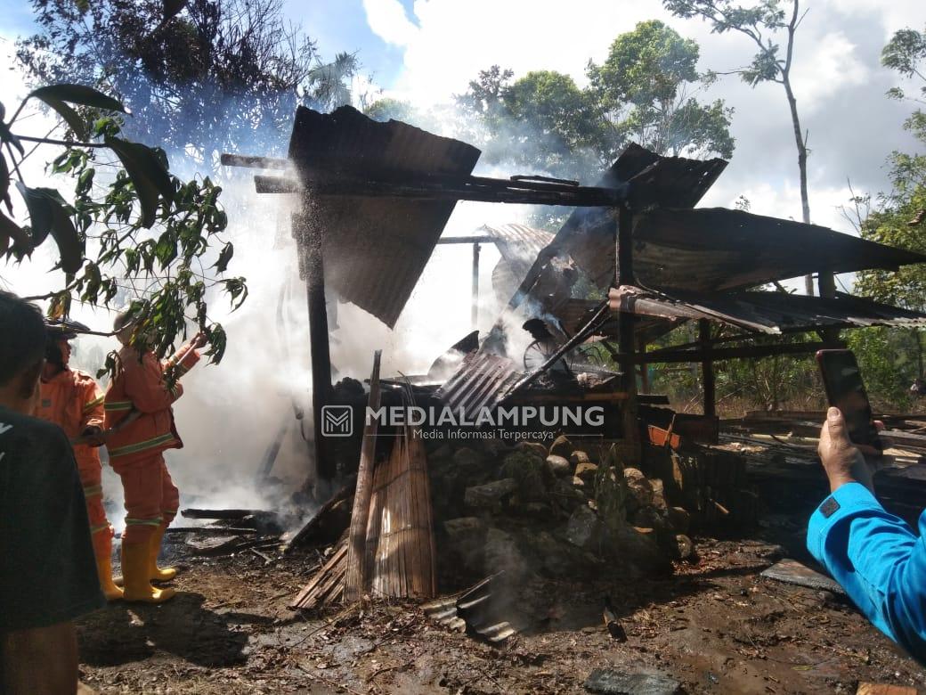 Kebakaran Ludeskan Satu Gubuk Milik Warga di Pekon Wates