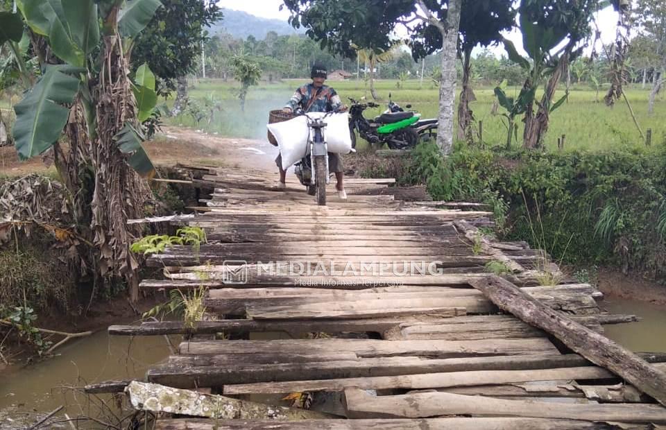 Warga Minta Jembatan Penghubung Pekon Muarajaya II Dengan Muarabaru Dibangun 