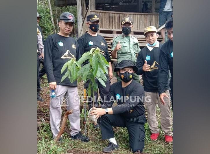 Peringati HUT Bhayangkara, Polres Lambar Tanam Pohon di Puncak Gunung Seminung  