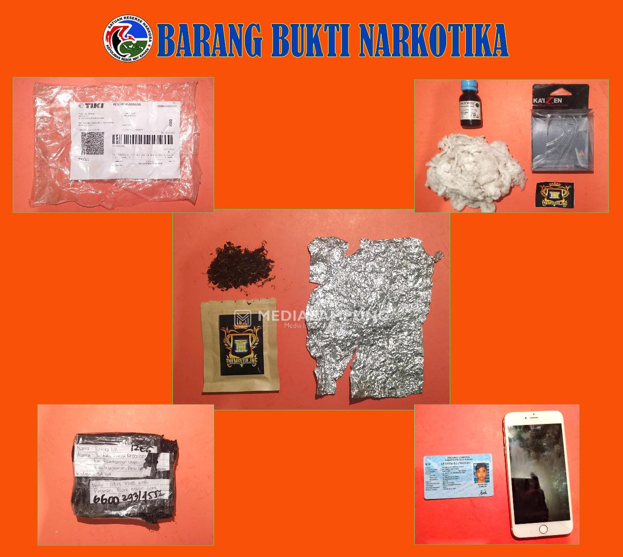 Satnarkoba Polres Waykanan Bekuk Pemuda Pemilik Tembakau Sintetis