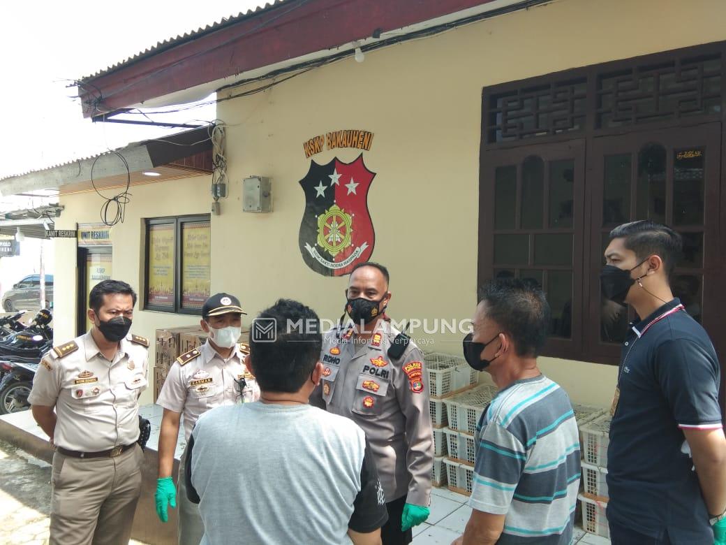 KSKP Bakauheni Gagalkan Penyelundupan Ribuan Ekor Burung