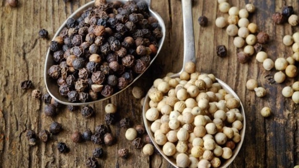 Pemkot Bandarlampung Berencana Beli Lada dari Balitbang Provinsi