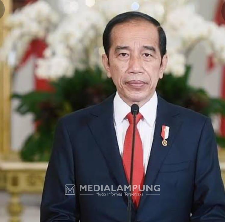 Presiden Jokowi Perpanjang PKKM Darurat