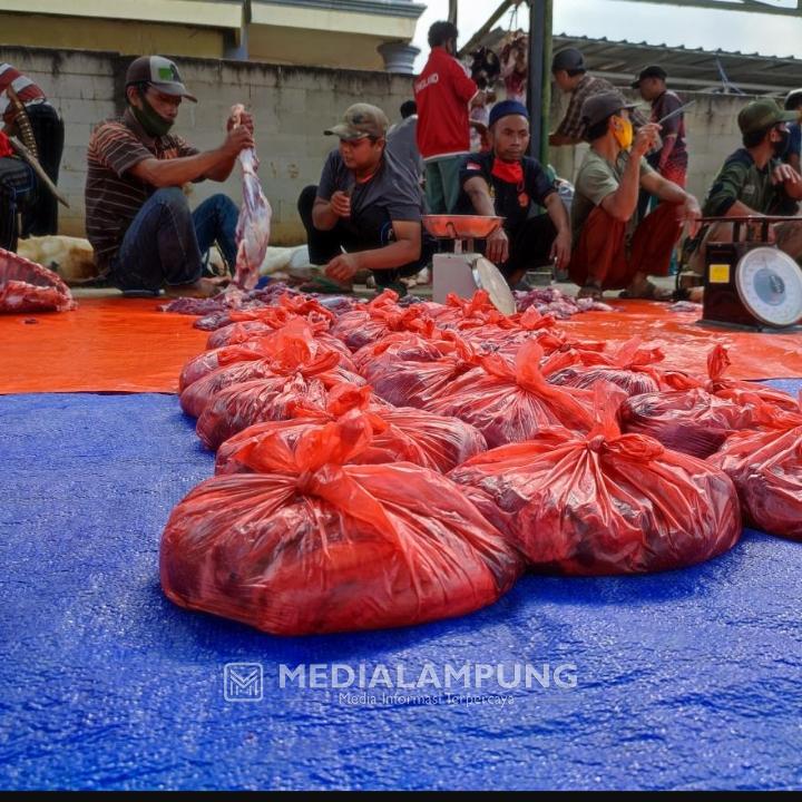 Hindari Kerumunan, Daging Kurban di Pekon Trimulyo dibagikan Secara Door To Door