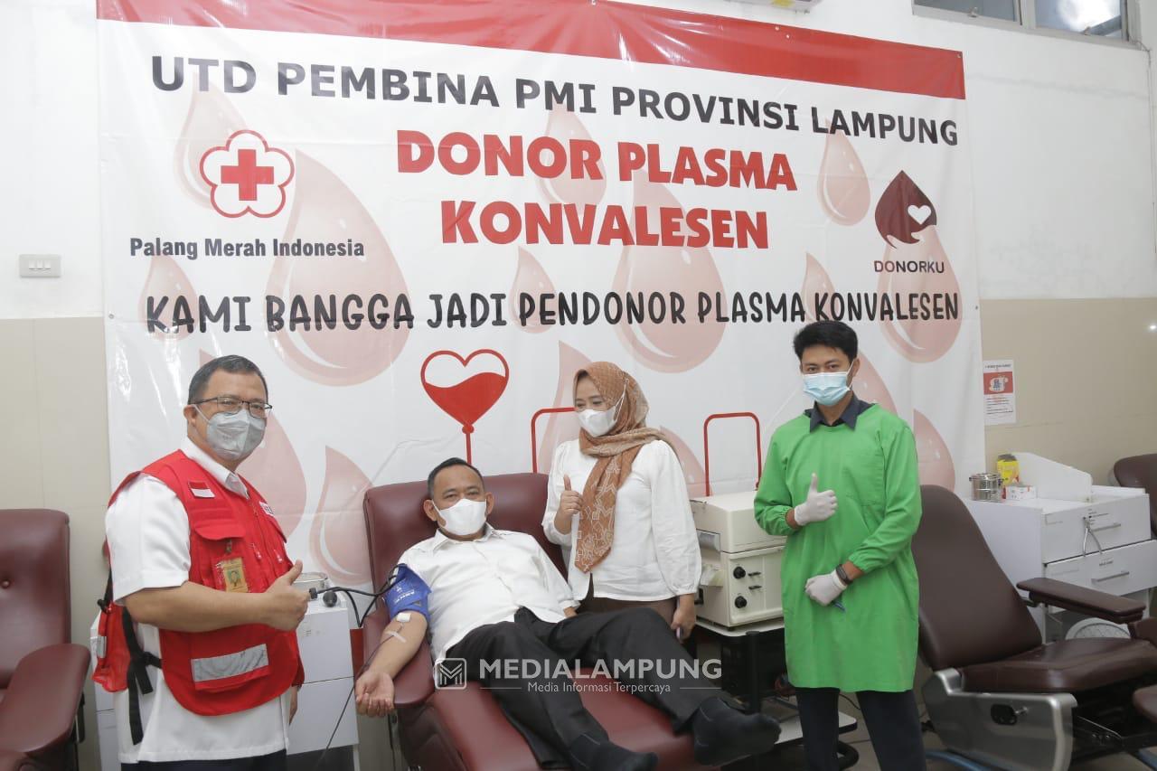 PMI Pringsewu Siapkan Bantuan Insentif Bagi Pendonor Plasma Konvalesen