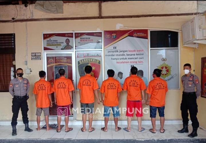 Polres Pringsewu Amankan Enam Pelaku Pencurian Kayu Sonokeling