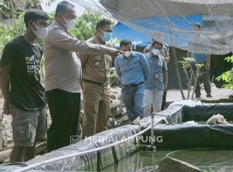 Pembudidaya Ikan Koi Ikut Terdampak Krisis Oksigen