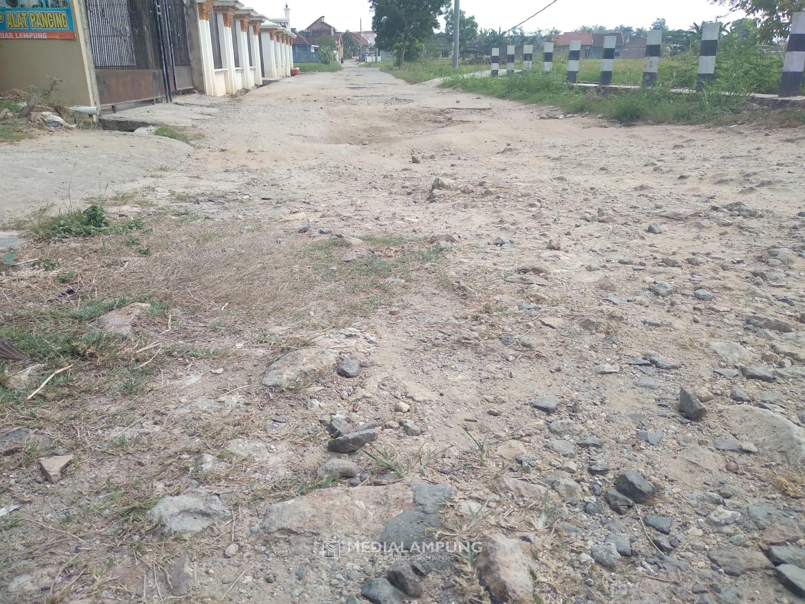 Jalan Rusak, Warga Kelurahan Rajabasa Jaya Harapkan Perbaikan