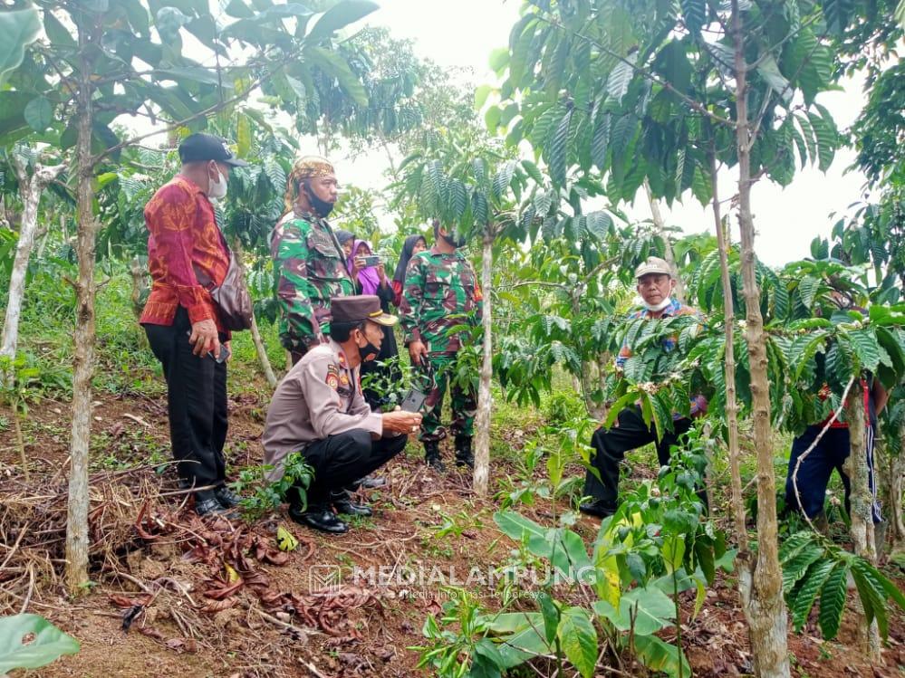 Camat Sumberjaya Cek Kandang Kambing Warga Pekon Simpangsari yang Mati Secara Misterius