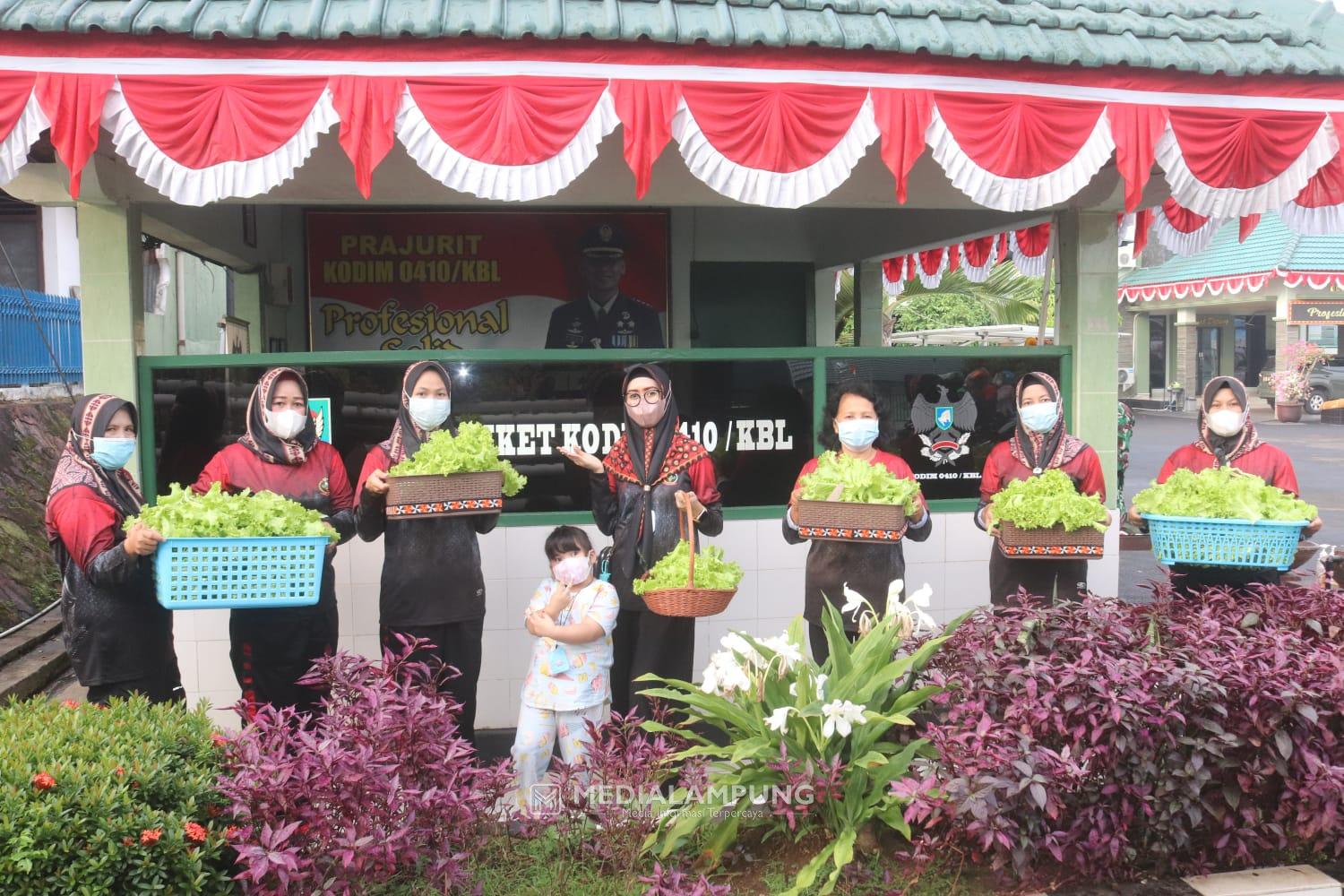 Ketua Persit KCK Cabang XXX Kodim Ny.Esa Panen Sayur Hidroponik