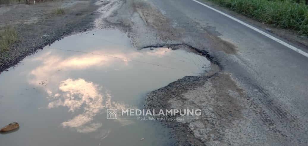 Hanya Satu Titik, Kerusakan Jalan Nasional Tak Kunjung Diperbaiki 