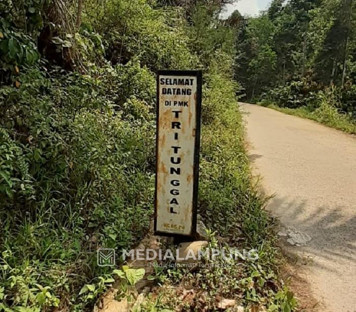 Jalan Penghubung Lambar-Tanggamus Terancam Putus