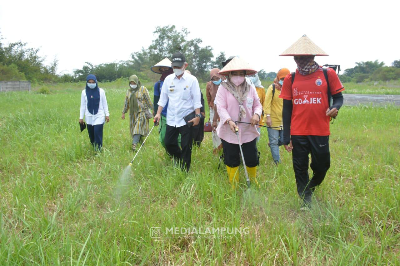 Rencana Pemkab Lamteng Gunakan Lahan di Kompleks Nuwo Balak Jadi Agropark