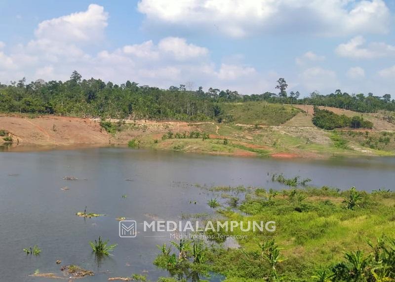 Warga Diminta Tak Beraktivitas di Hilir Sungai Way Sekampung