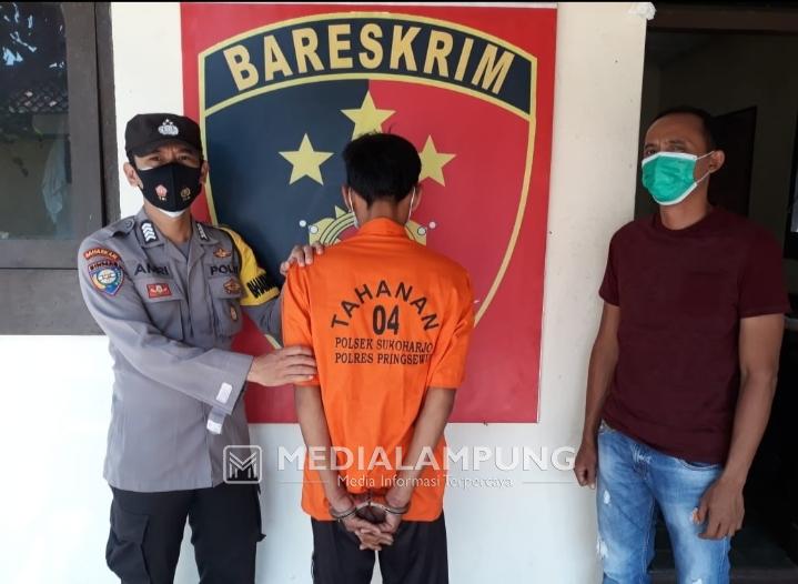 2 Tahun Buron, Pelarian Pelaku Pencurian Sapi Berakhir