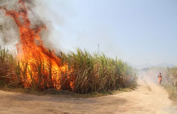 Dugaan Praktek Pembakaran Lahan Terkesan Dibiarkan, Masyarakat Mengeluh