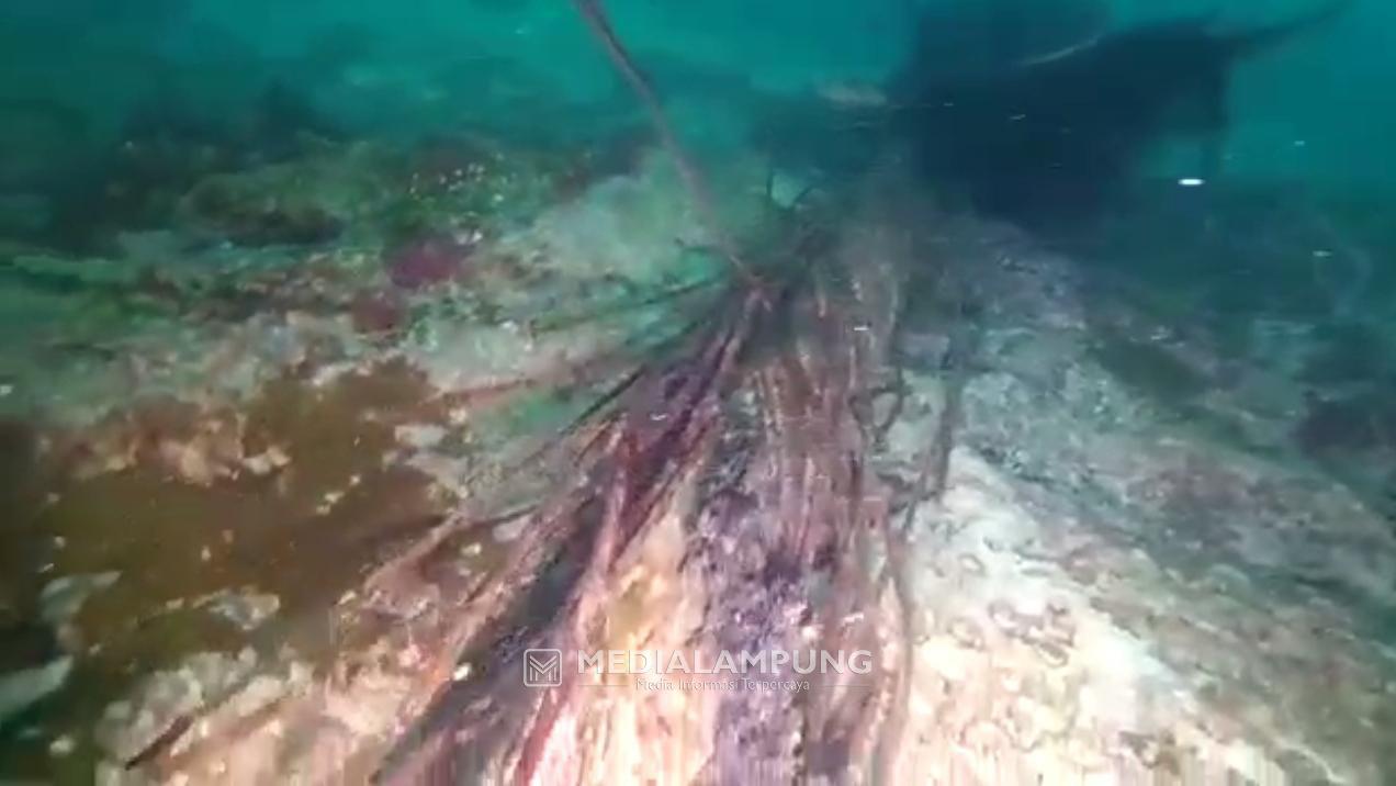 Kabel Listrik Bawah Laut ke Pulau Pisang Diduga Rusak