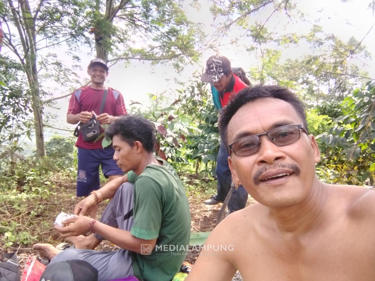 Cerita Anggota DPRD 14 Hari Ikut Usir Gajah, Puluhan Kali Bertemu, Sempat Berjarak Hanya 10 Meter