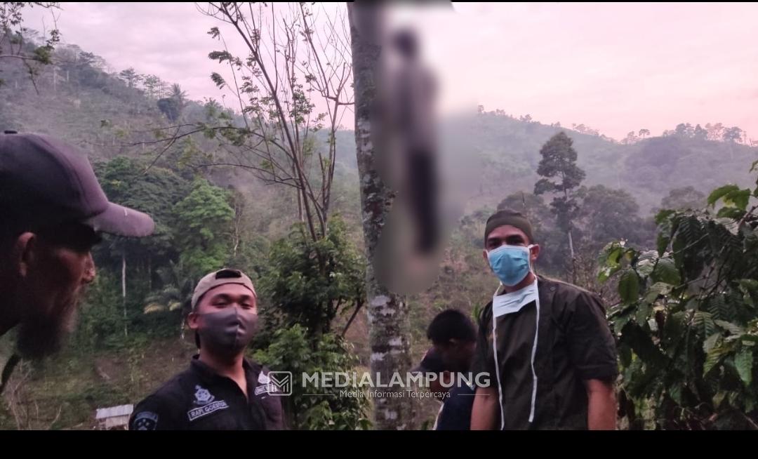 Pemuda Tunawicara Warga Pekon Basungan Bunuh Diri di Pohon Petai