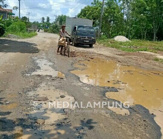 Rusak Parah, Jalan Poros Way Tuba-Bahuga Rawan Kecelakaan dan Kejahatan
