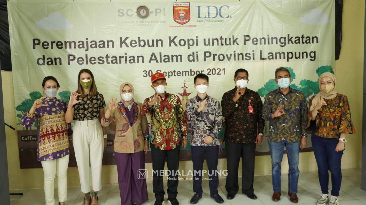 Dukung Petani Kopi Indonesia, Louis Dreyfus Company Perpanjang Kemitraan 