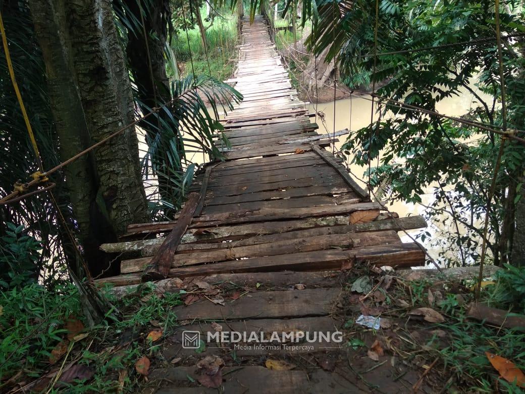 Harapan Warga, Pemkab Waykanan Perbaiki Jembatan Gantung di Tiuh Balak 2