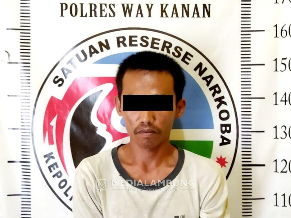 Polres Waykanan Tangkap Tersangka Sabu di Kampung Tiuh Balak